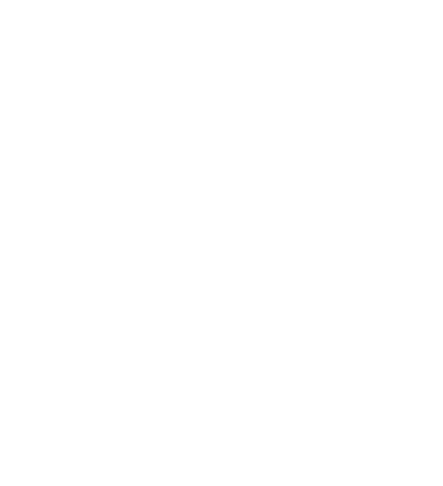 Court Einfeldt logo